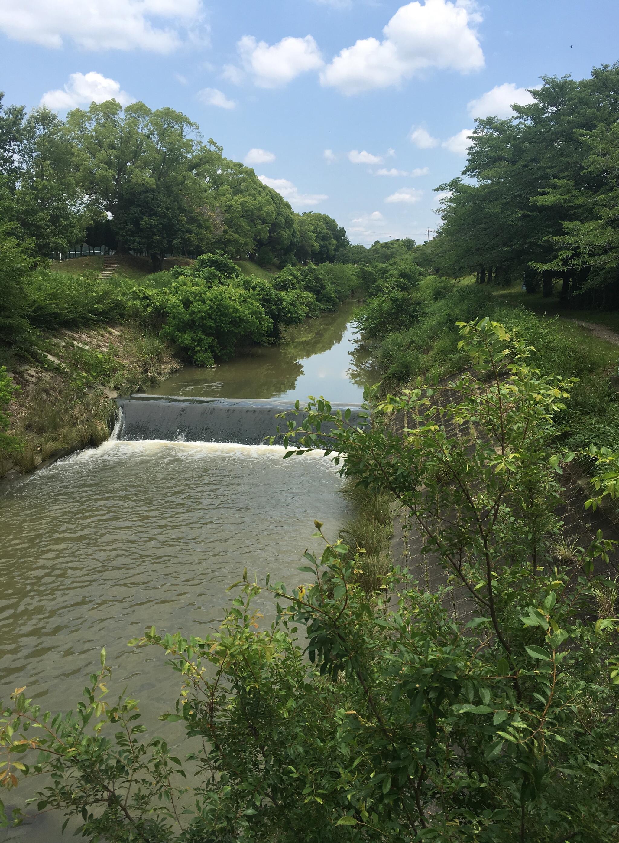 奥町公園テニスコート | 屋外施設 | スポーツ施設検索