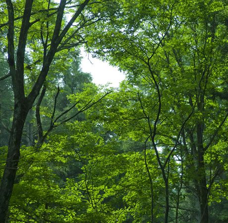 トップページ - 船橋駅徒歩３分のご褒美サロン 心癒（ここゆ）