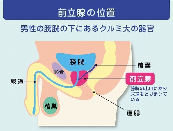 電マを使った前立腺オナニーのやり方！最強のドライオーガズムで昇天