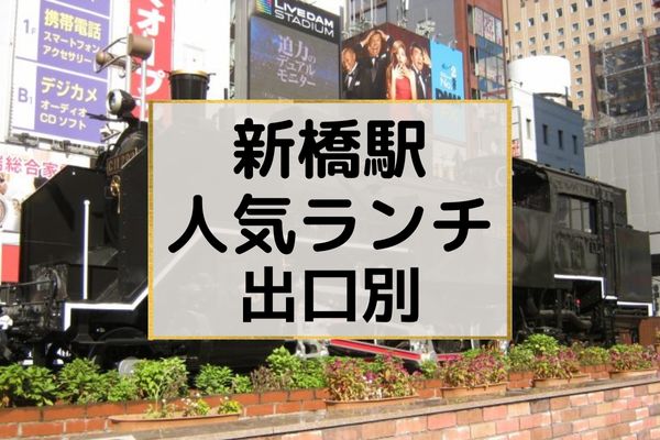 あの横浜駅を通過!? 品川～大船40kmをノンストップで駆け抜ける東海道線「通勤快速」に乗車 - わたかわ 鉄道＆旅行ブログ