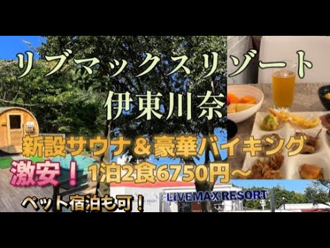 リブマックスリゾート伊東川奈の宿泊予約 - 人気プランTOP3【ゆこゆこ】