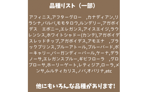 2024年最新】庄内駅周辺の薬局・ドラッグストア【36件】 | EPARKくすりの窓口