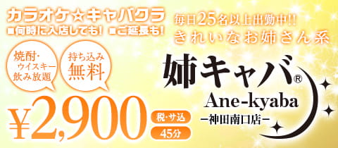 姉キャバ 神田南口店のアルバイト・バイト求人情報｜【タウンワーク】でバイトやパートのお仕事探し