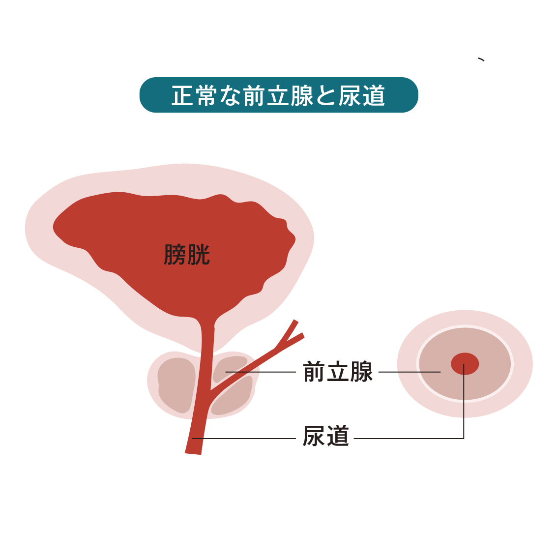 至高の前立腺オナニーのやり方とは？初めてでも気持ちよくなれる！ | Trip-Partner[トリップパートナー]