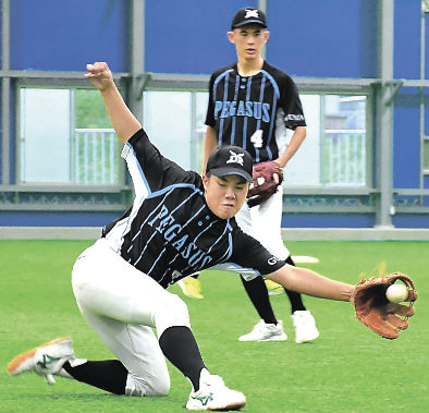 速報！群馬ダイヤモンドペガサス 中地区優勝決定！ | いちご狩りができる群馬県藤岡市のいちご園