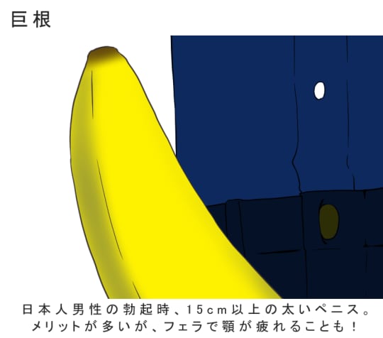 変態女子大生が解説】巨根とのセックスが次元が違う気持ちよさ！魅力・注意点と体験談を紹介！ | Trip-Partner[トリップパートナー]