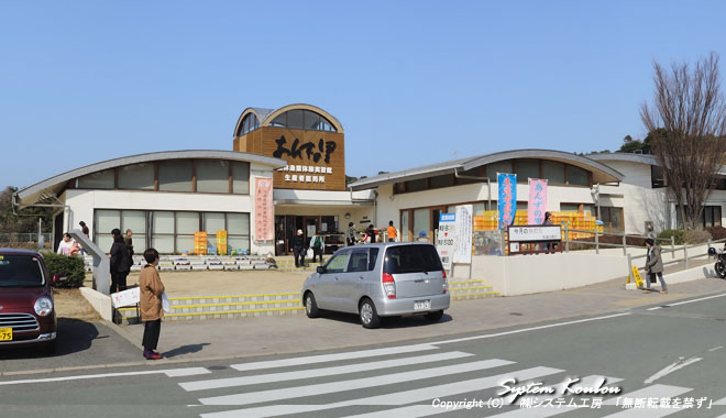 あんずの里にも春が来た・・・福岡県福津市あんずの里 - 筑前の国からこんにちは！