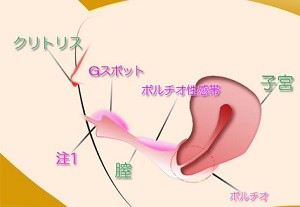 本当に感じる手マン・指マンのやり方とコツ - 夜の保健室