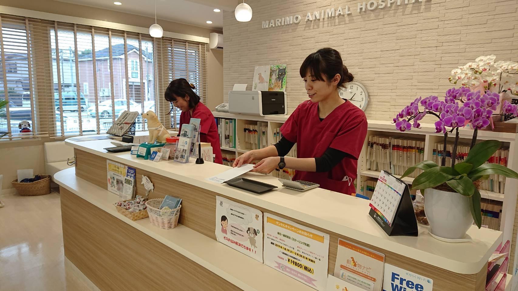 写真 : まりも動物病院