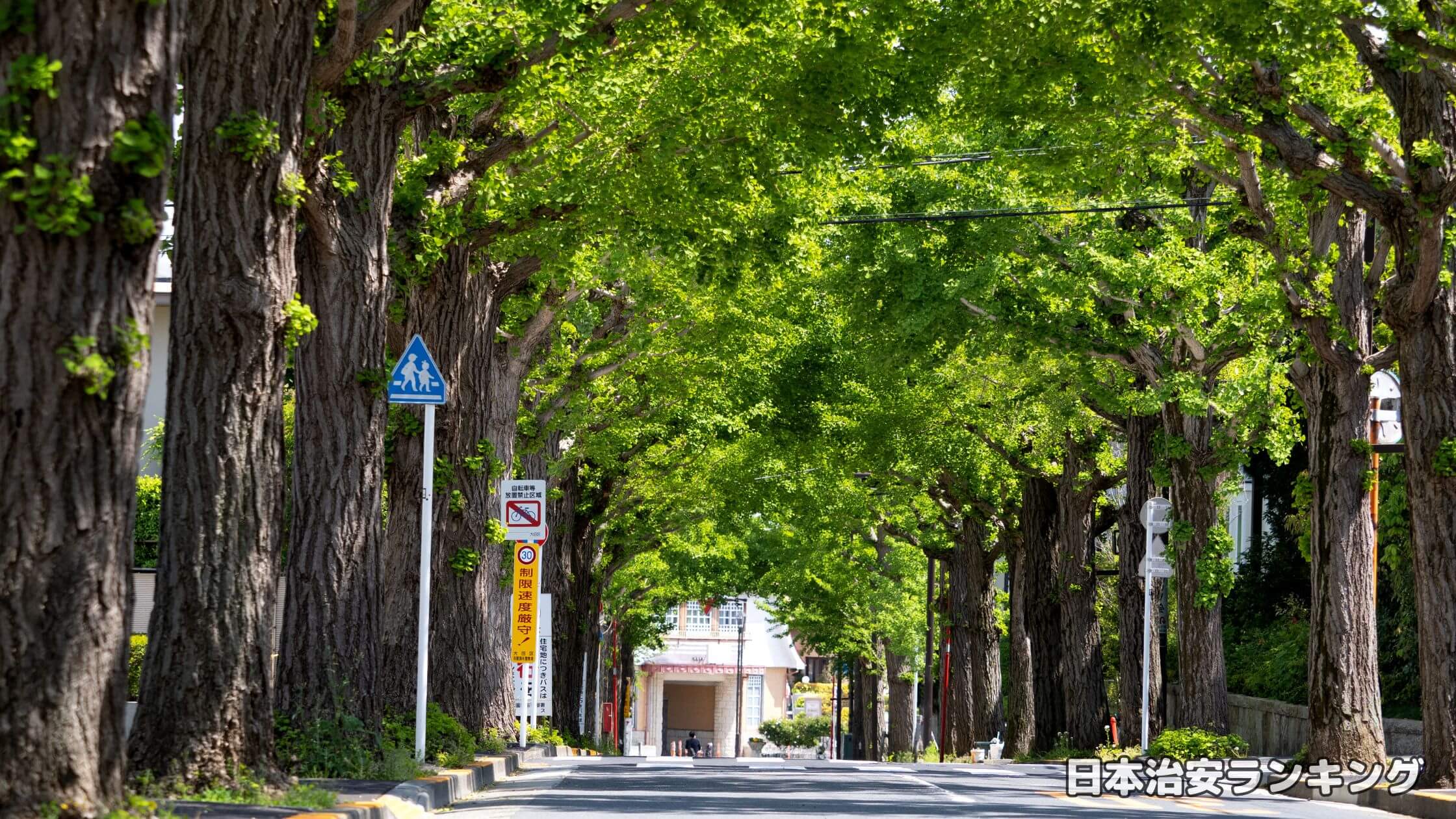 この時期３倍の倍率になった東京建物「Brillia テラス世田谷・喜多見」