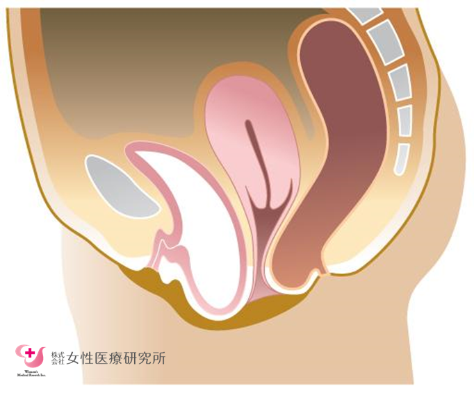 セックスの挿入が気持ちよくない時の対処法 - 夜の保健室