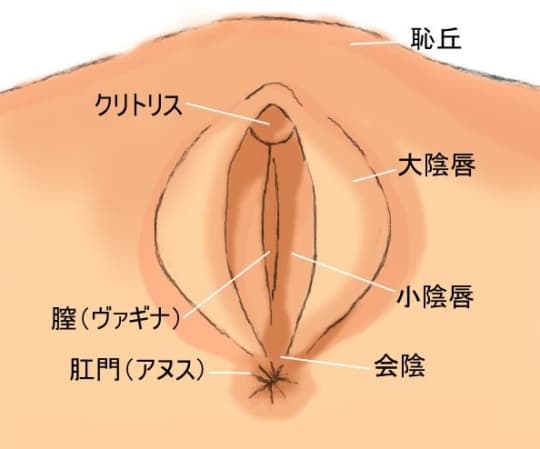 クンニリングスのやり方10選！イラストで解説する気持ちいいクンニのコツ｜風じゃマガジン