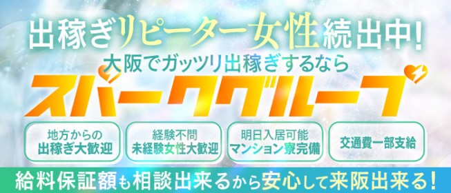 愛知｜風俗出稼ぎ高収入求人[出稼ぎバニラ]