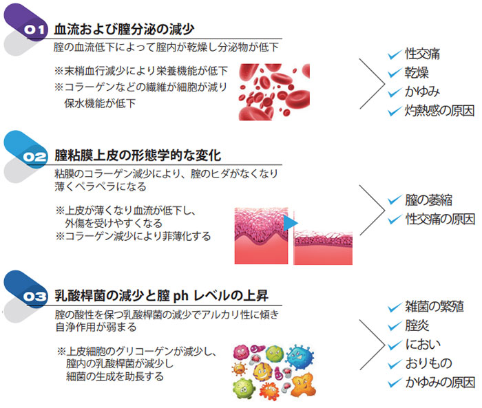 膣縮小術(ヒアルロン酸注入)