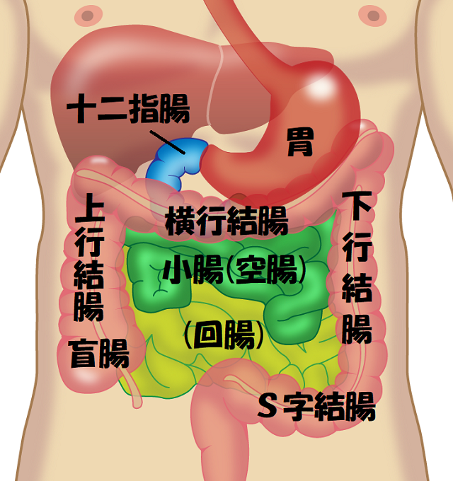 8個セット】アウトドア レザーフックPU革 ハンガー S字 新品未使用の通販