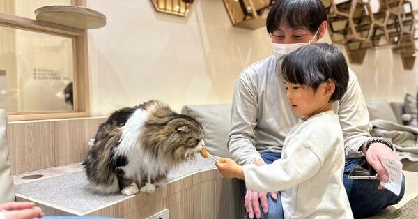 平塚駅周辺 大人も楽しめる 子供の遊び場・お出かけスポット