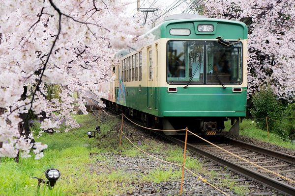 つり革 各種】電車ごっこ１１８５ オリジナル