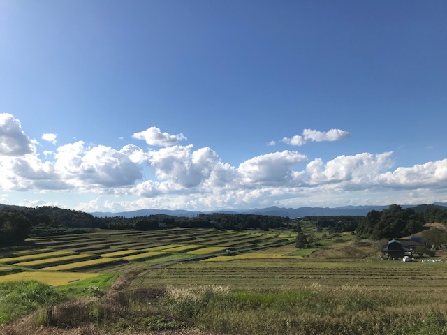 まきまき花巻～岩手県花巻市の魅力を市民ライターが発信するWebマガジン～