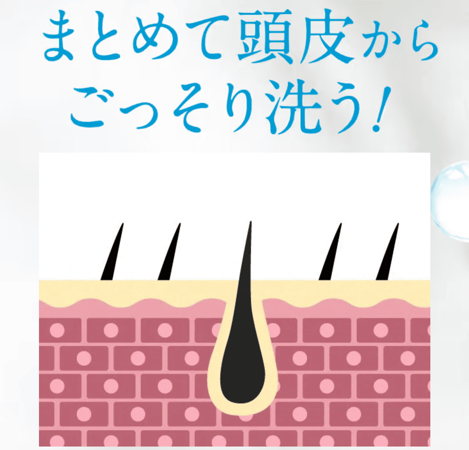 ハーバニエンス炭酸シャンプーの効果は口コミ通り？バニスパ口コミ徹底検証 | 親族はコスメ好き