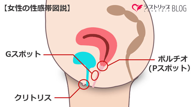 ポルチオ性感帯を開発するアダルトグッズ８選！ 淑女の世界で感じる最高の快感を |