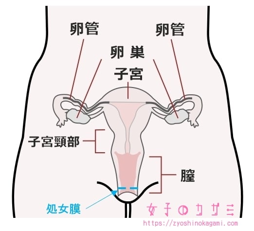 豪華特典付き】難しいことはわかりませんが『せどり』のやり方を教えてください！【副業】【初心者】【せどりの教科書】 | 長南 ナン