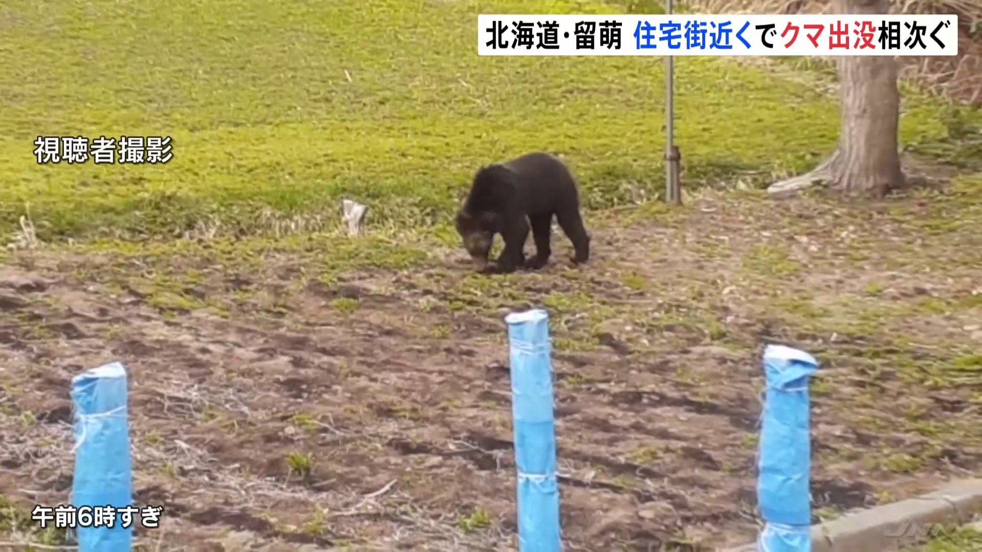 稚内・留萌・利尻・礼文のホテル・旅館 宿泊予約 【楽天トラベル】