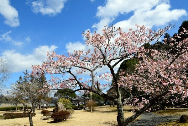 水戸 曹洞宗 天徳寺 | .