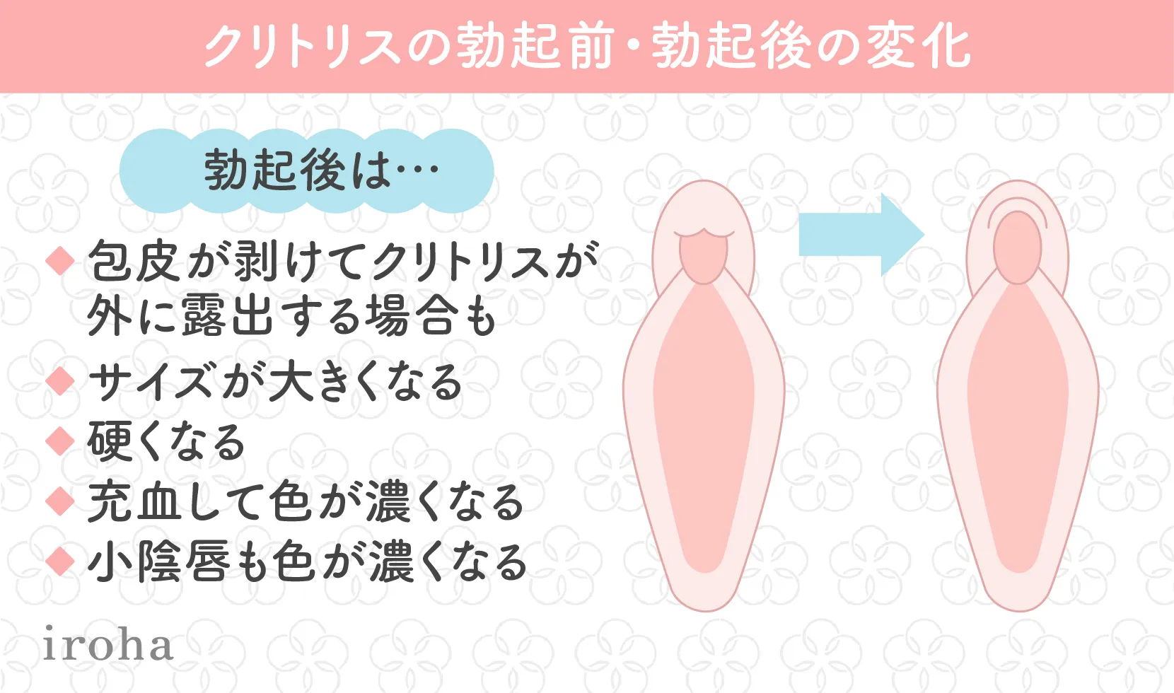 女性が感じる仕組みとは？オーガズムとスキーン腺の関係について解説 | コラム一覧｜ 