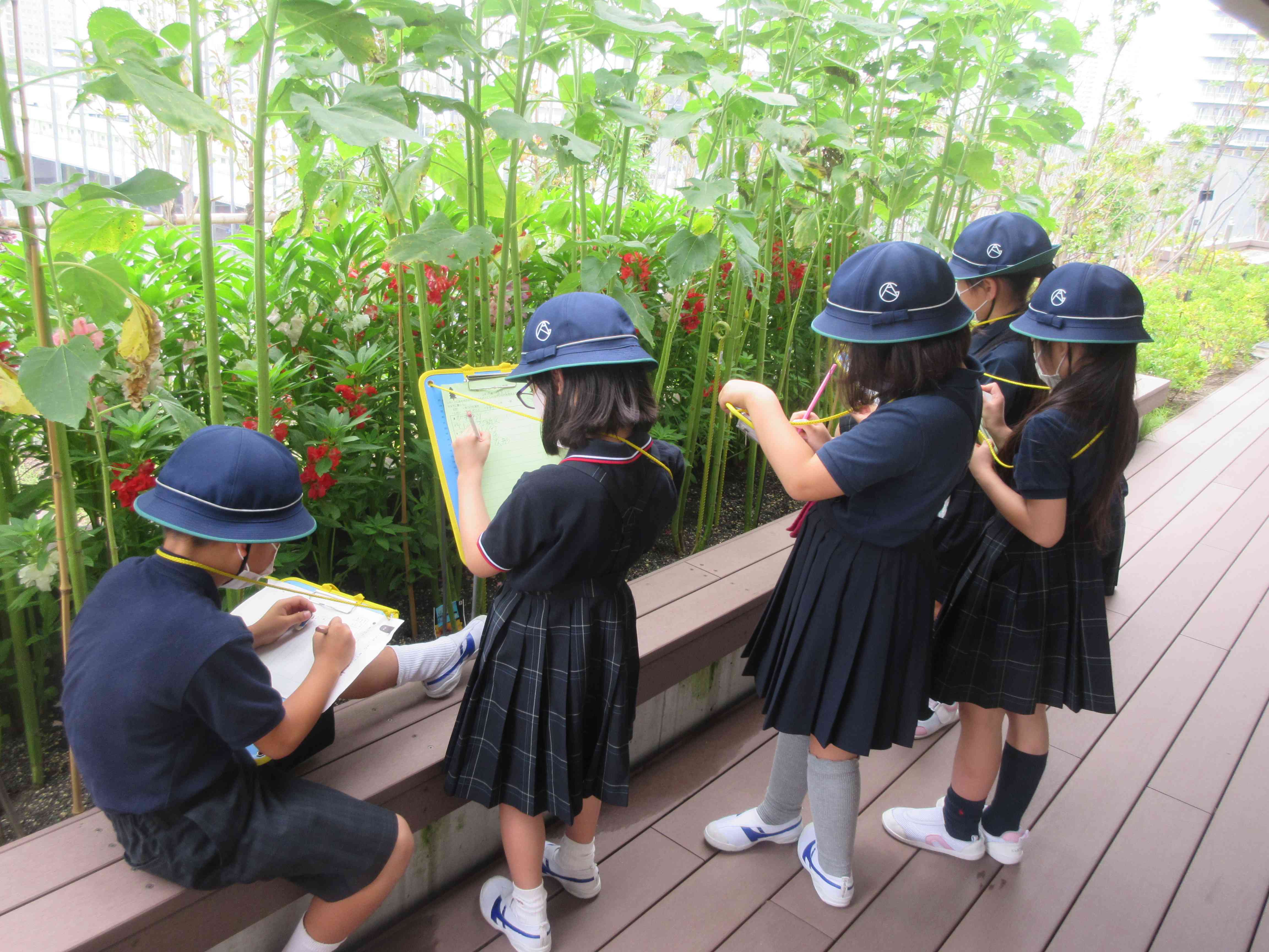 日記ページ - 江東区立有明西学園