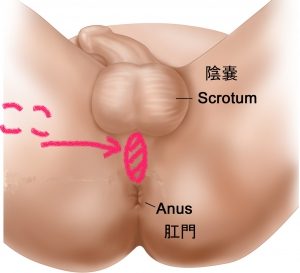 女性がオナニーでイク方法！平均頻度や注意点を解説【快感スタイル】