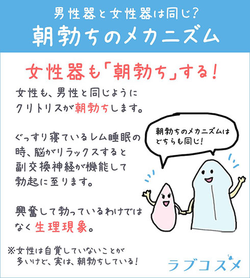 人妻素人 淫乱妻 出勤前にトイレで拡張途中にオナニー】早起きして