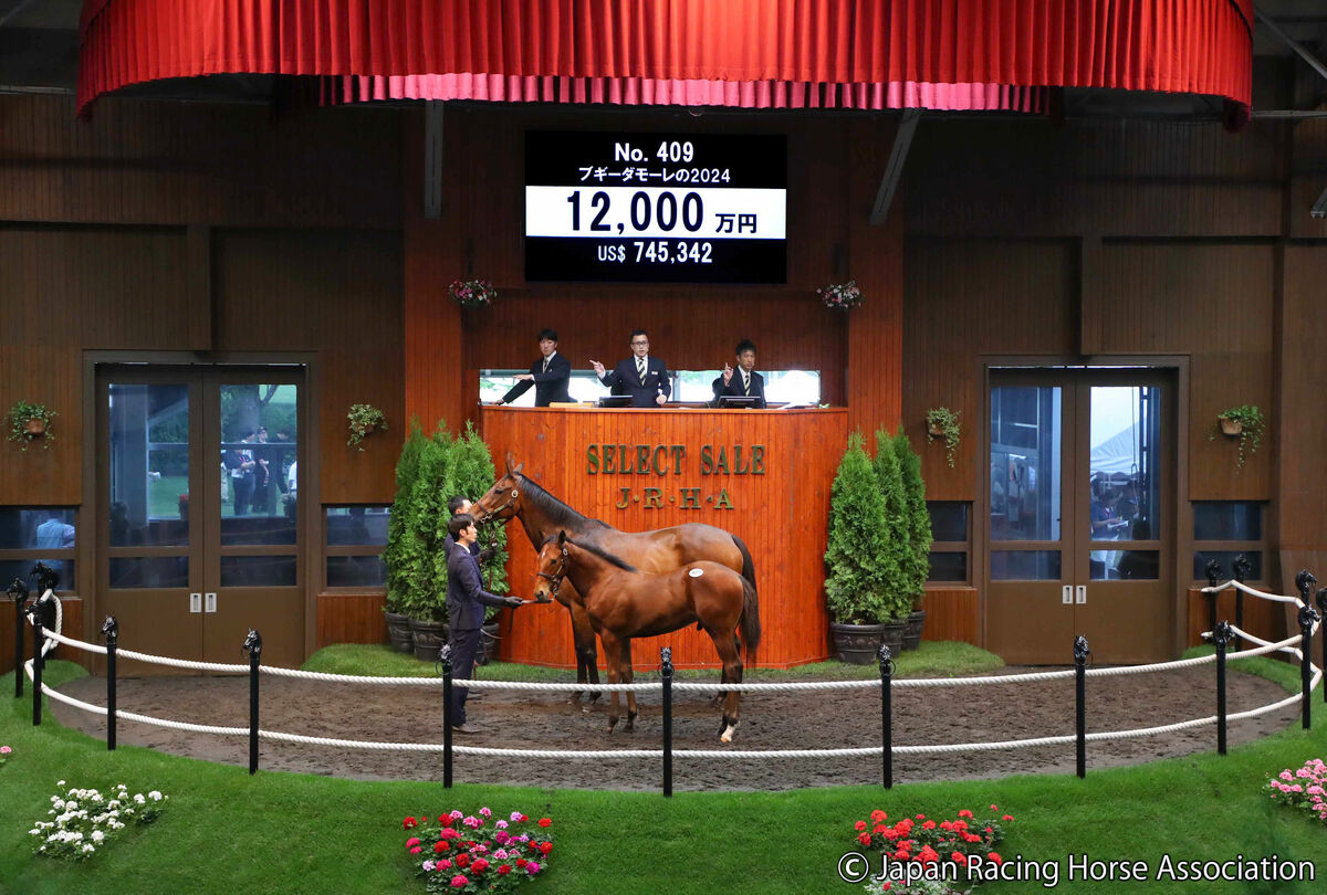 14,526点のエプソム競馬場の写真と高解像度写真 - Getty Images