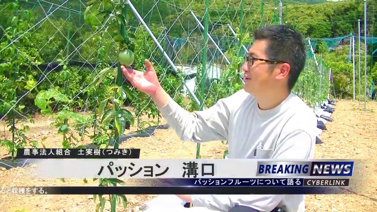 愛宕町商店街マップ｜愛宕町