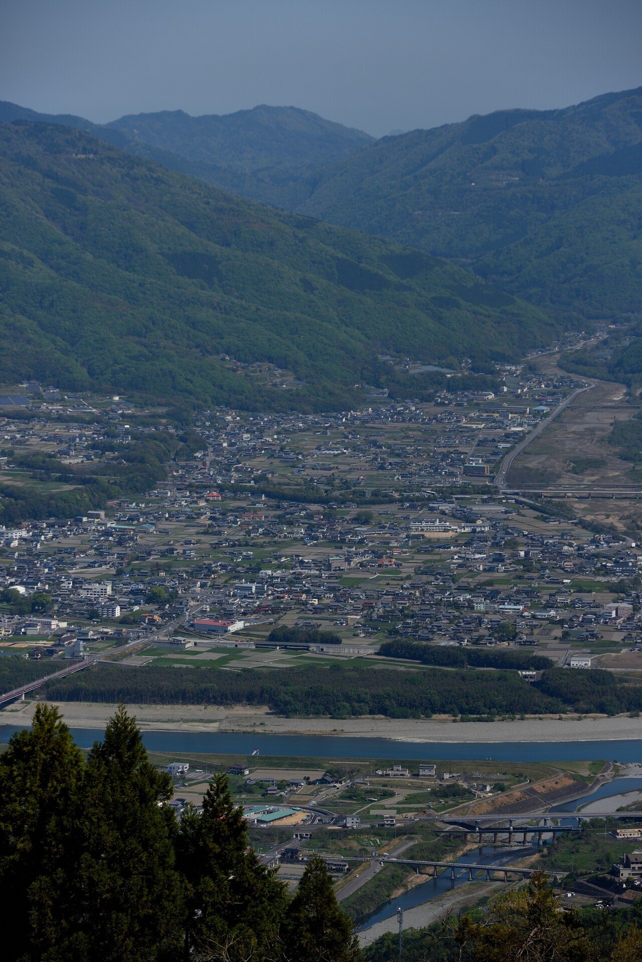 数量限定】お歳暮 四国徳島県産 天然鮎 冷凍