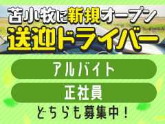 りーさ【三拍子揃った癒やし系】(40) - 苫小牧激安堂（苫小牧 デリヘル）｜デリヘルじゃぱん