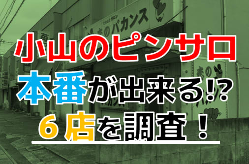 摘発された本サロ「セクシービーム」で有名な栃木県の小山に行って来たけど、裏風俗はまだまだ健在だった | 東京変態ガイド