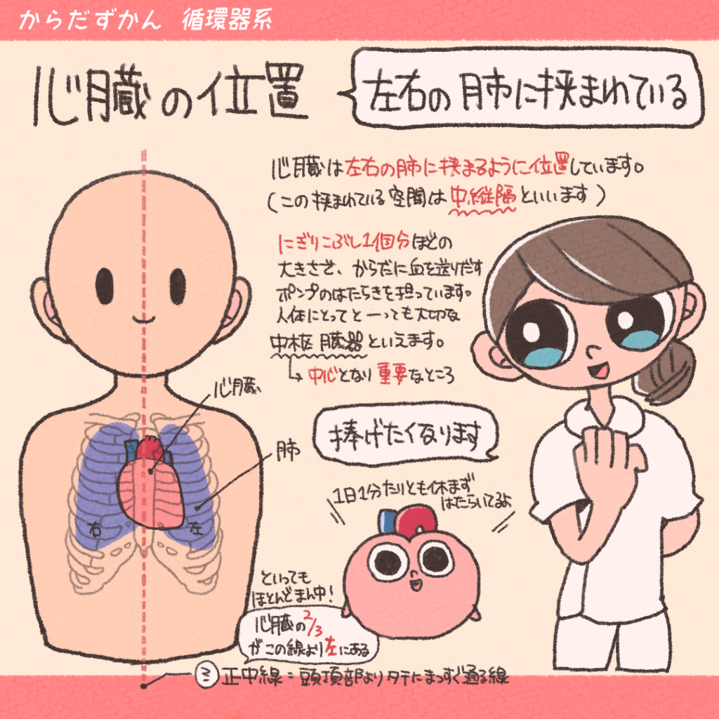 男がクンニしたいと思う理由とは？ まんこを舐めたい時・舐めたくない時の本音 | オトナのハウコレ