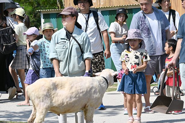 休業のお知らせ 沖縄那覇浮島通り店 | Sheep （シープ）