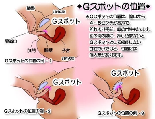 Gスポットの正しい位置とイカせる刺激方法【完全図解】 | セクテクサイト