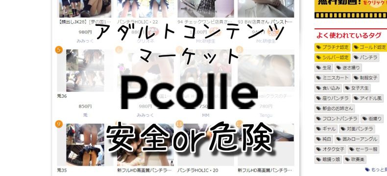 アダルト産業を実質的に規制しているのは政府や国際条約ではなく「クレジットカード会社」だという指摘 - GIGAZINE