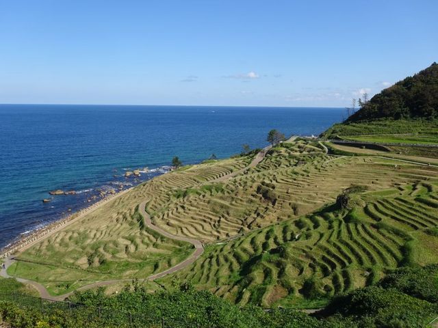 居酒屋 多喜