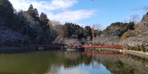 群馬・安中市 タイマッサージ ラーイタイ(群馬県安中市)｜マッサージ.COM