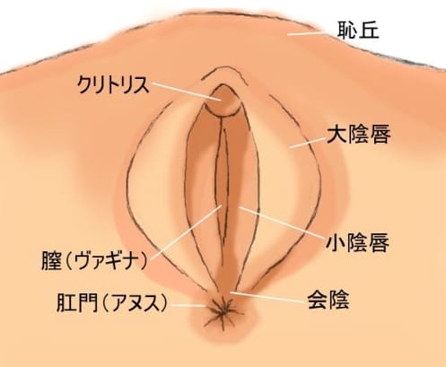 ヤリマンが解説】本当に気持ち良い手マンのやり方！中イキさせる手マン・潮吹きのコツ