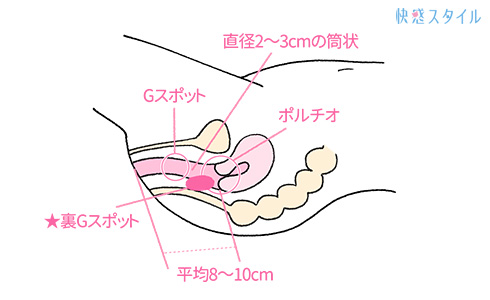 はじめてのセックス、その前に。わたしたちのHow to SEX【医師監修】