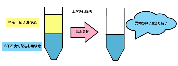 宇宙は妊娠しづらい？精子は宇宙に行くと運動能力が落ちて「ぐだぐだ」になる | TRILL【トリル】