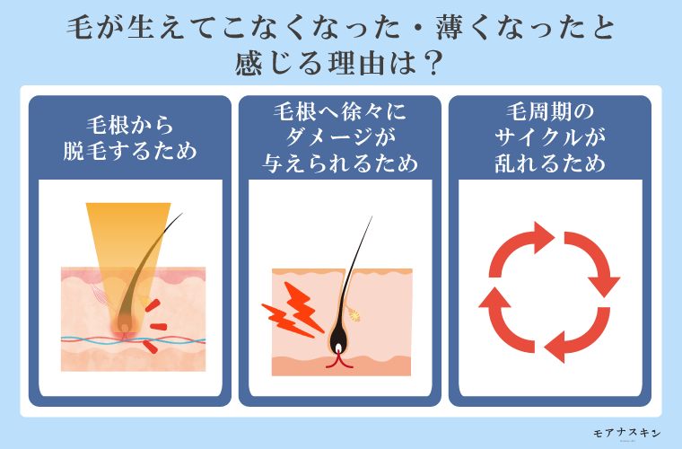 ブラジリアンワックス脱毛とは？注意したいセルフ利用の危険性 - 新宿美容外科クリニック