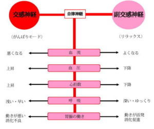 気持ち良い」「くすぐったい」「痛い」、新感覚ボディメンテナンス・スタジオ「FRESHLY（フレッシュリー）」を開院 | FRESHLYのプレスリリース