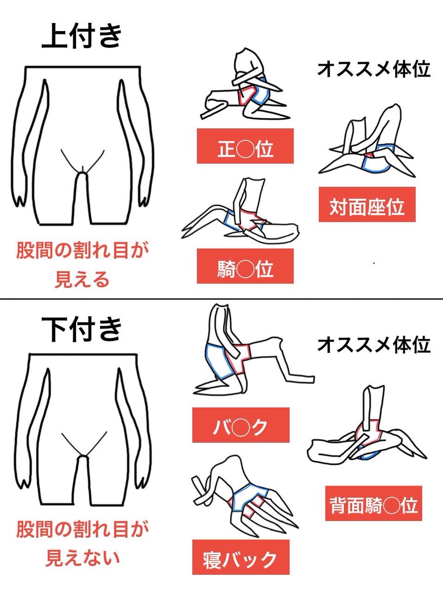 女性器の形や構造・役割について｜婦人科形成の施術・後悔しない注意点を紹介 | 銀座マイアミ美容外科