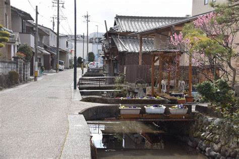 福井県勝山市 芳野ヶ原（その１） |