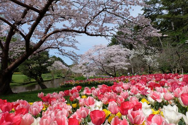 航空自衛隊浜松広報館 エアーパーク［浜松市中央区］｜アットエス